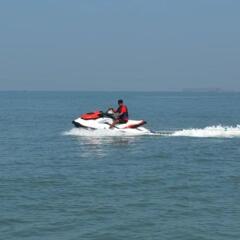 dapoli