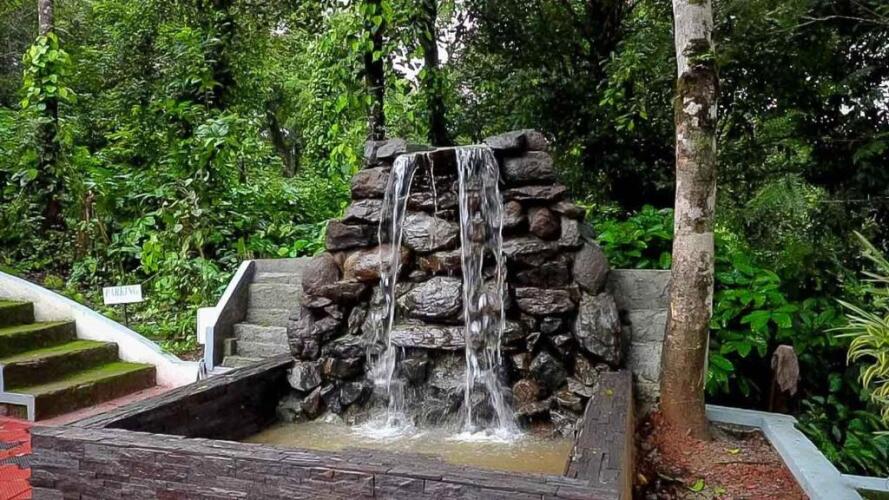 jungle hill resort coorg