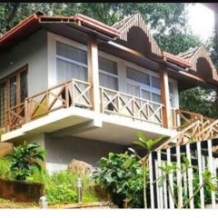 jungle hill resort coorg
