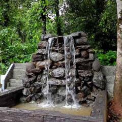 jungle hill resort coorg