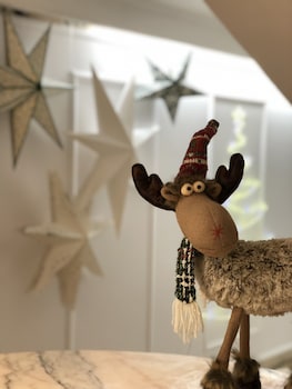 hotel atlantico centro