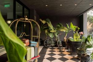Hotel Eco Boutique Bidasoa,Santiago>>Recoleta,4 star