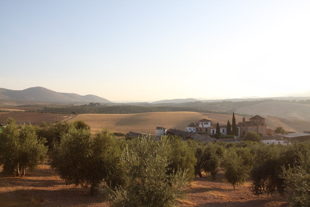 hotel cortijo del marques