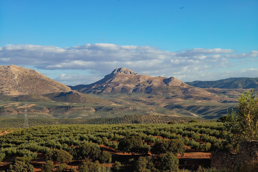 hotel cortijo del marques