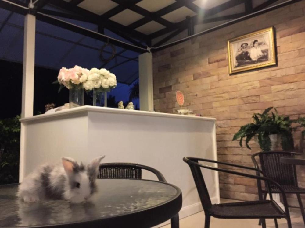 v valley resort