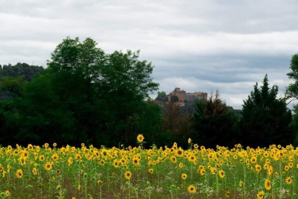 Domaine De Borie,Occitanie>>Bretenoux,1 star