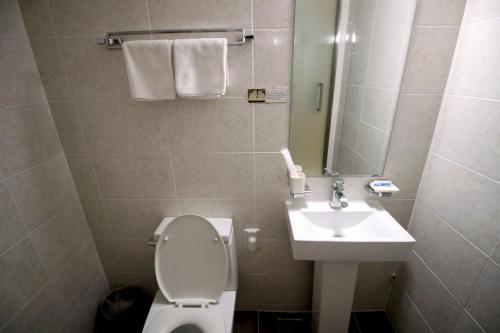 hotel irene city