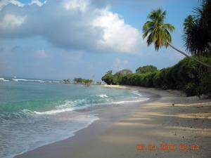 andaman and nicobar islands