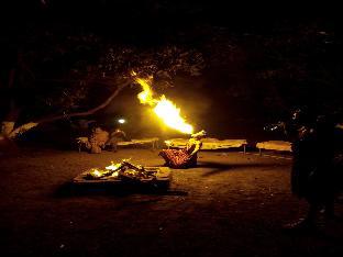 Brook Ville Resort,Sasan Gir>>Junagadh,2 star