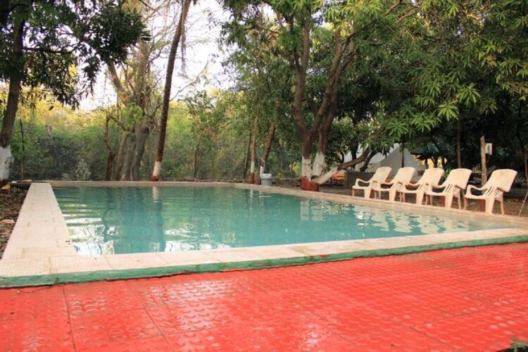 sasan gir