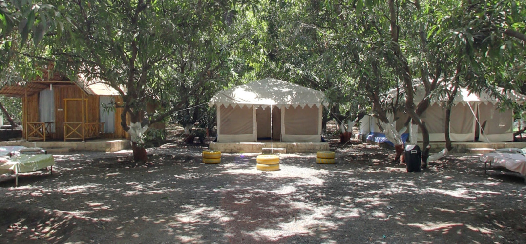 sasan gir