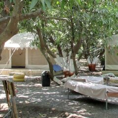 sasan gir