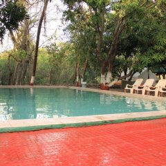 sasan gir