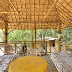 sasan gir