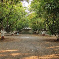 sasan gir