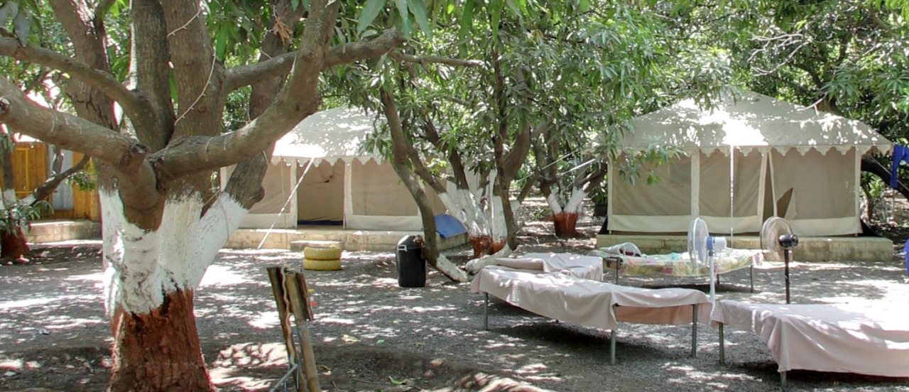 sasan gir