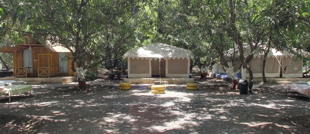 sasan gir