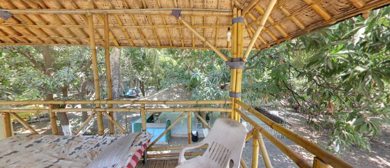 sasan gir