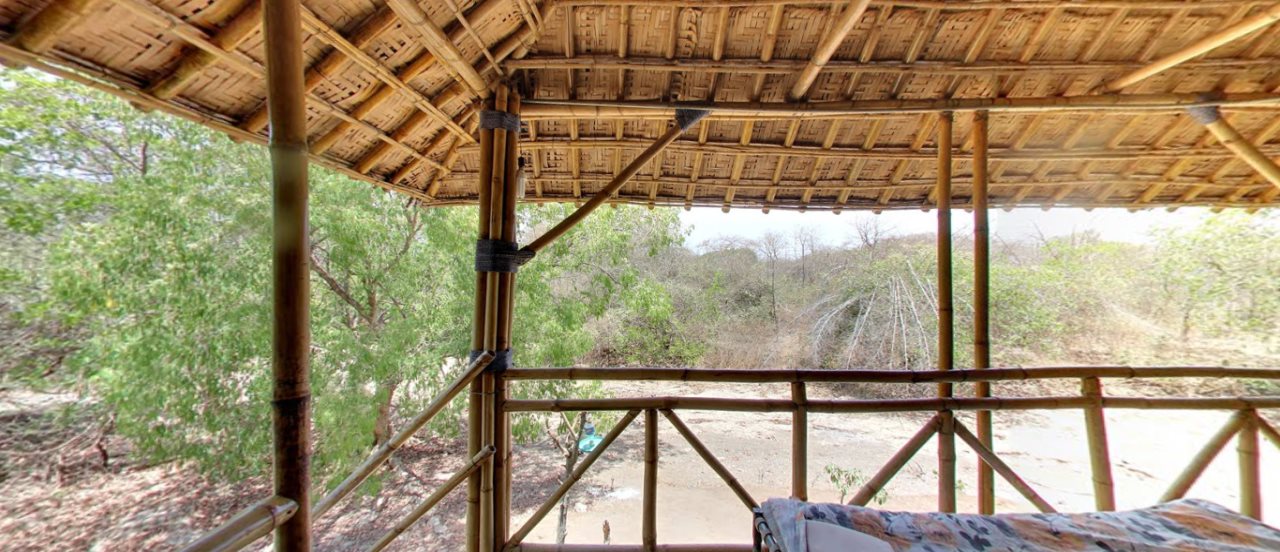 sasan gir