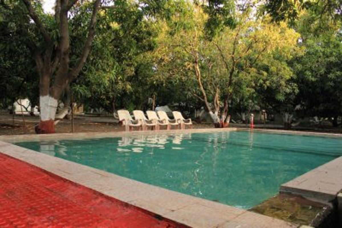 sasan gir