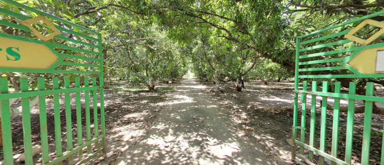 sasan gir