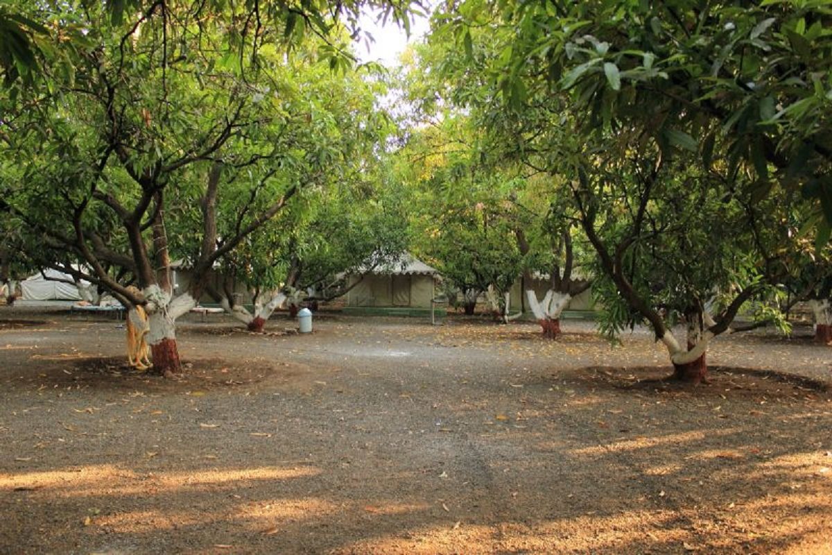 sasan gir