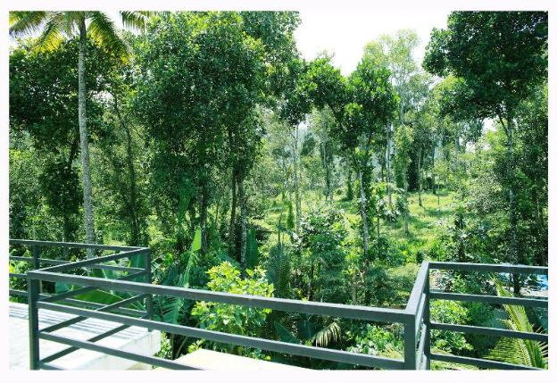periyar villa home stay thekkady