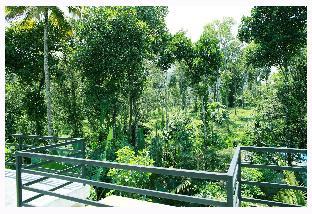 periyar villa home stay thekkady