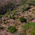 maasai lodge