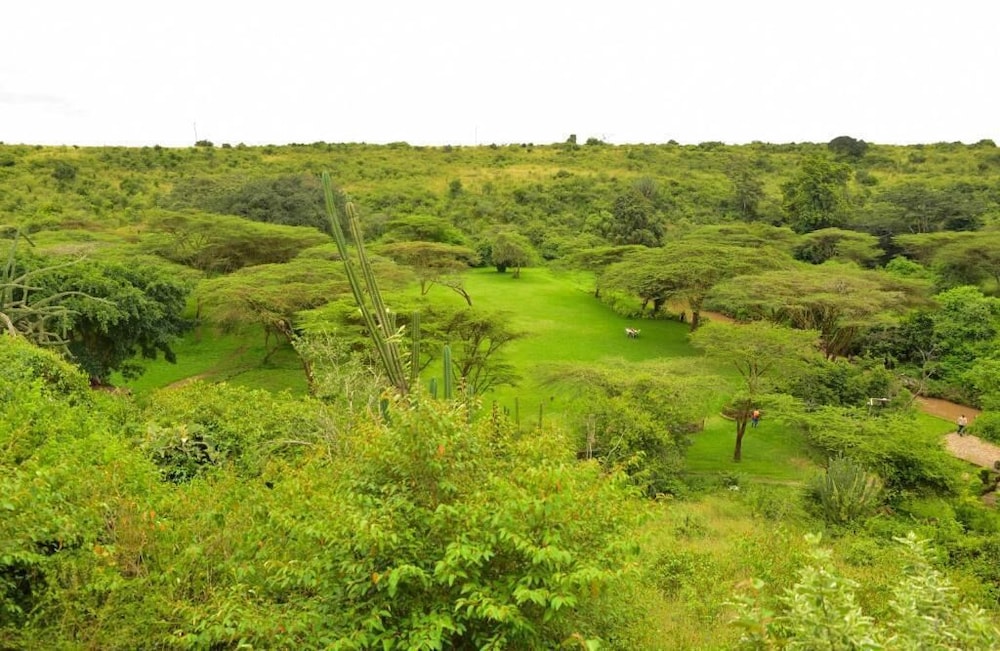 maasai lodge