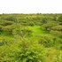 maasai lodge
