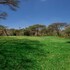 maasai lodge