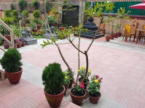 Aarya Chaitya Inn,Kathmandu Valley>>Kathmandu,3 star