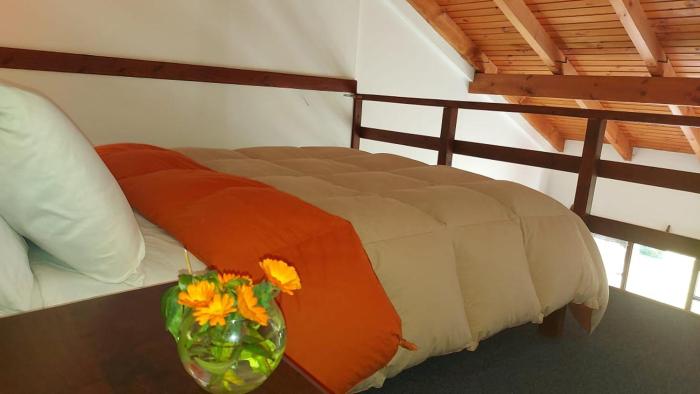 nahuel huapi national park