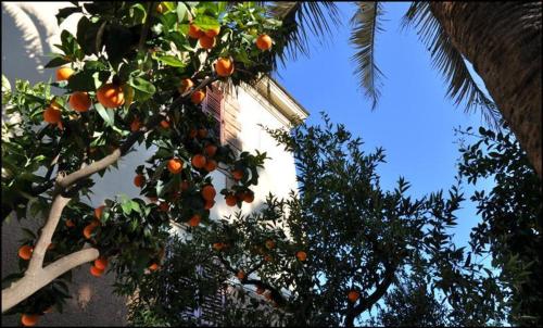 hotel lodi
