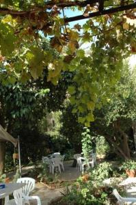 hotel lodi