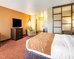 comfort suites