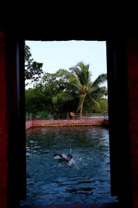 lake n river resort munroe island