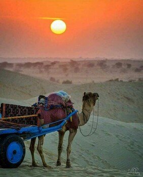 jaisalmer