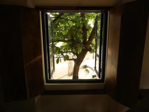 goa