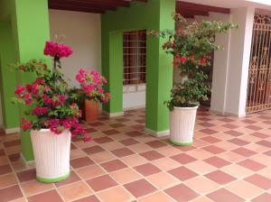 casa crespo beach 65 148