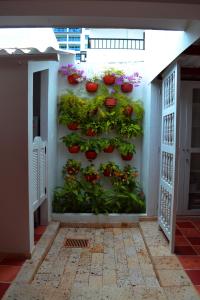 casa crespo beach 65 148