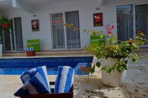 casa crespo beach 65 148
