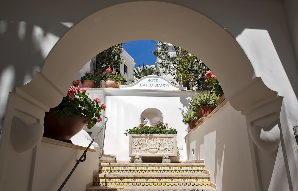 gatto bianco hotel and spa