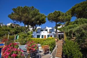 hotel don felipe