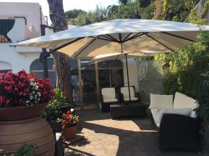 hotel don felipe