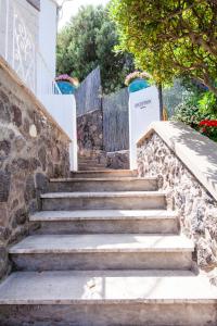 hotel don felipe