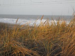 Sable D'o,Ostend>>Middelkerke,3.5 star