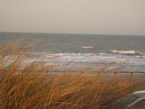 Sable D'o,Ostend>>Middelkerke,3.5 star