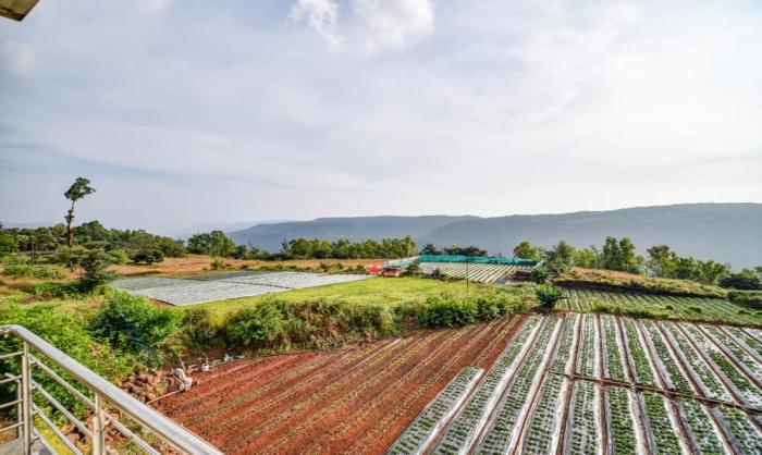 mahabaleshwar
